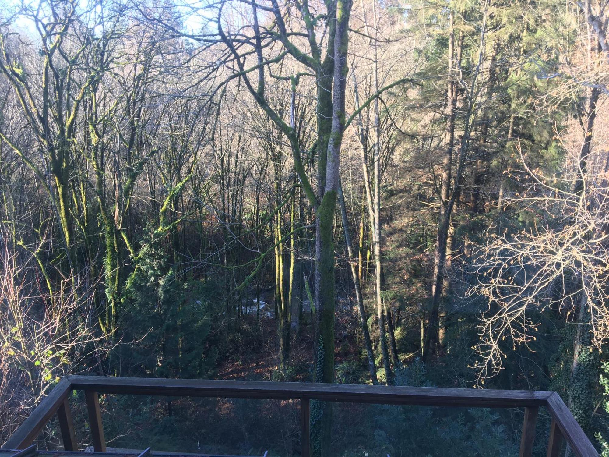 Creekside City Center Suite North Vancouver Kültér fotó